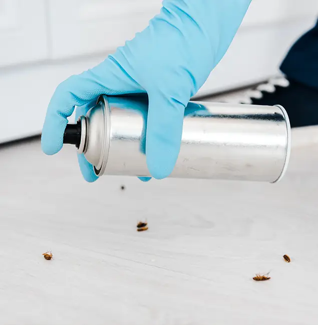 Why Choose Eagle Pest Control Pro for Safe Bed Bug Treatment in Eagle, ID?