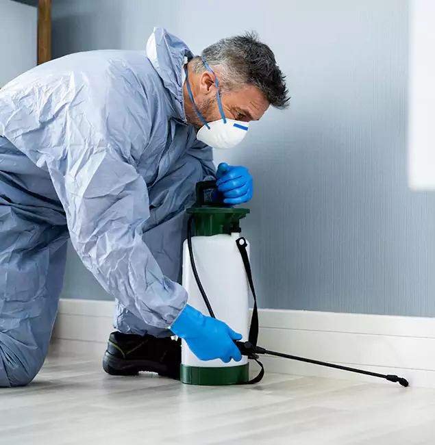 Why Choose Eagle Pest Control Pro for Subterranean Termites Treatment in Eagle, ID?