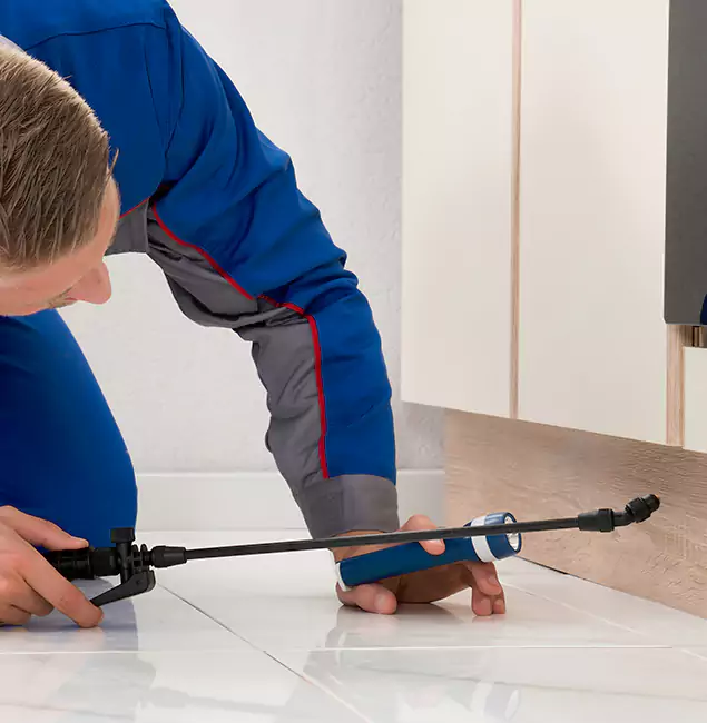 Why Eagle Residents Choose Eagle Pest Control Pro to Get Rid of Sugar Ants?