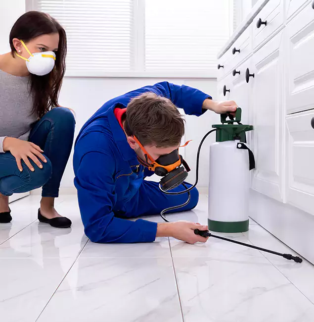 Why Choose Eagle Pest Control Pro for Termite Inspection Cost in Eagle, ID?