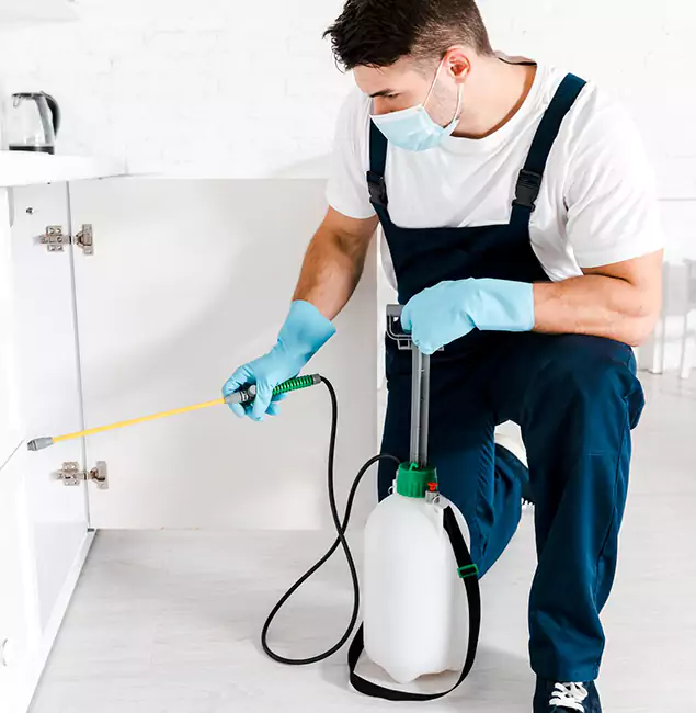 Why Choose Eagle Pest Control Pro for Termite Spot Treatment in Eagle, ID?