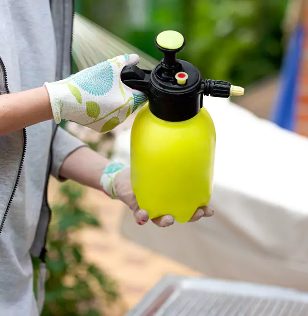 Why Choose Us: Eagle Pest Control Pro Termite Spraying Experts in Eagle, ID?