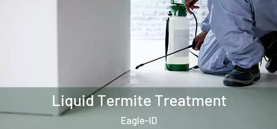 Liquid Termite Treatment Eagle-ID