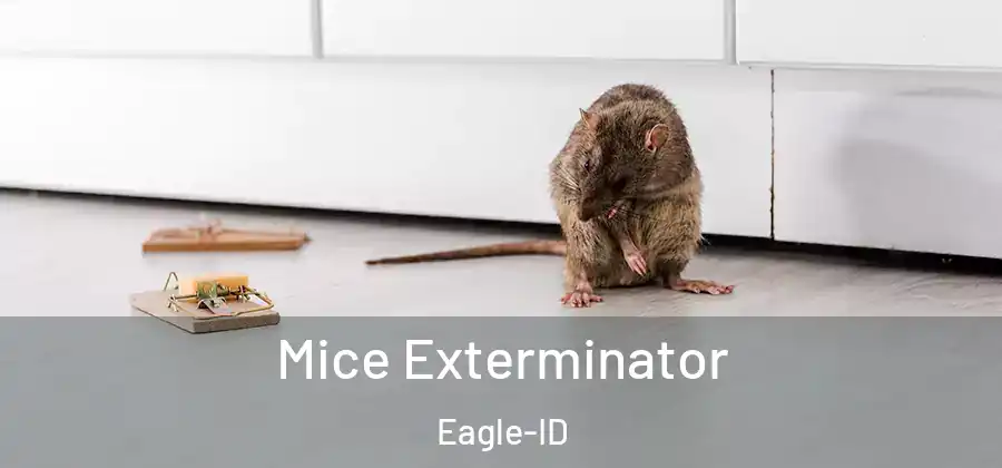 Mice Exterminator Eagle-ID