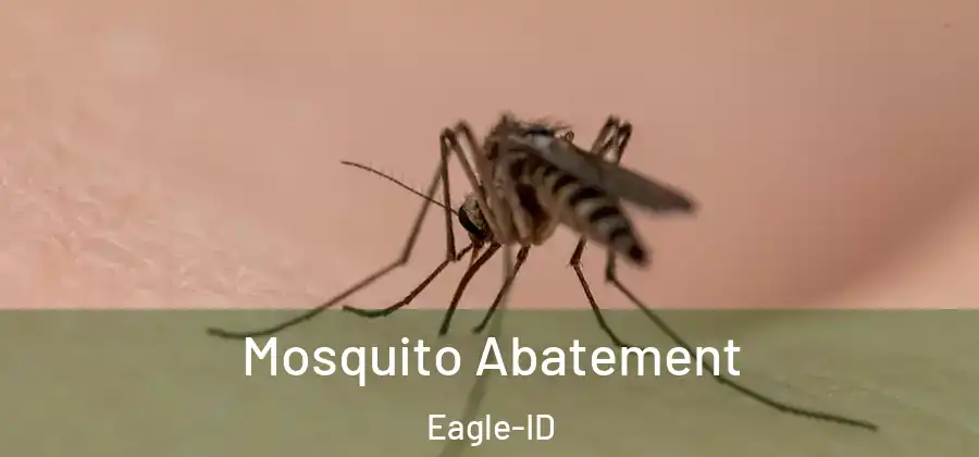 Mosquito Abatement Eagle-ID