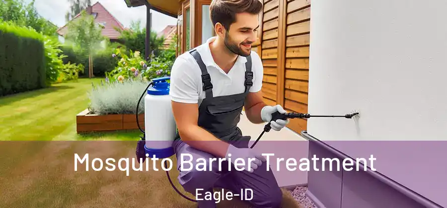  Mosquito Barrier Treatment Eagle-ID
