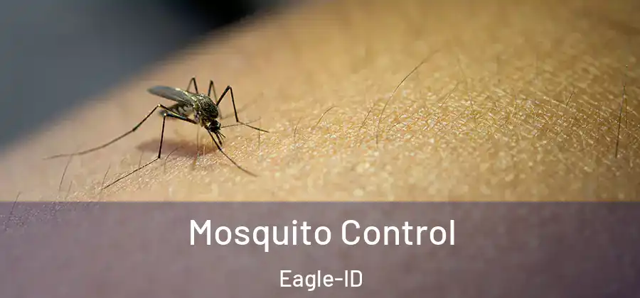 Mosquito Control Eagle-ID