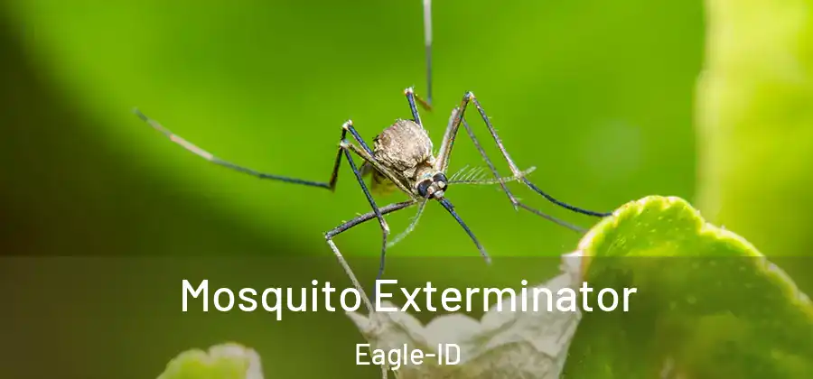  Mosquito Exterminator Eagle-ID