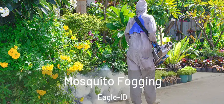 Mosquito Fogging Eagle-ID
