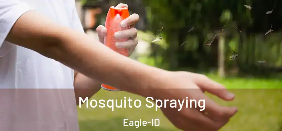 Mosquito Spraying Eagle-ID