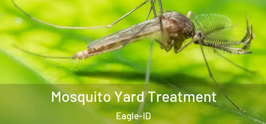 Mosquito Yard Treatment Eagle-ID
