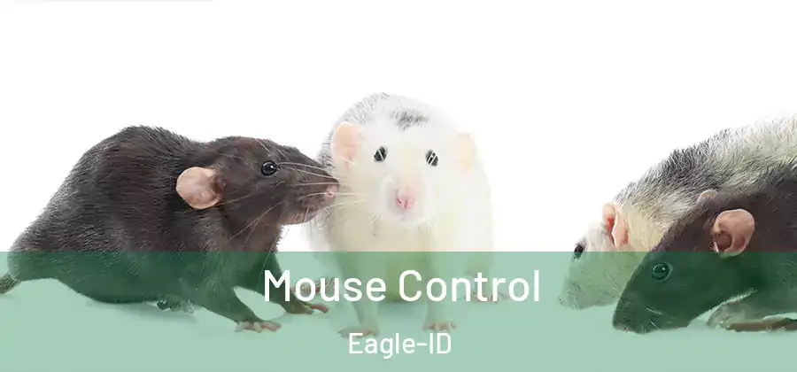  Mouse Control Eagle-ID
