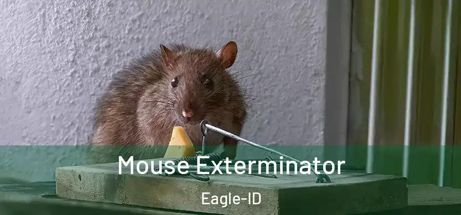Mouse Exterminator Eagle-ID