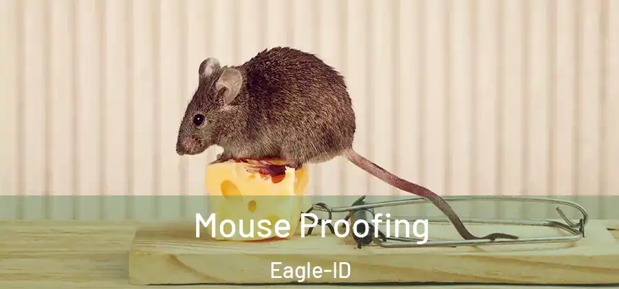 Mouse Proofing Eagle-ID