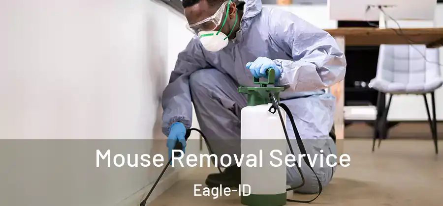 Mouse Removal Service Eagle-ID