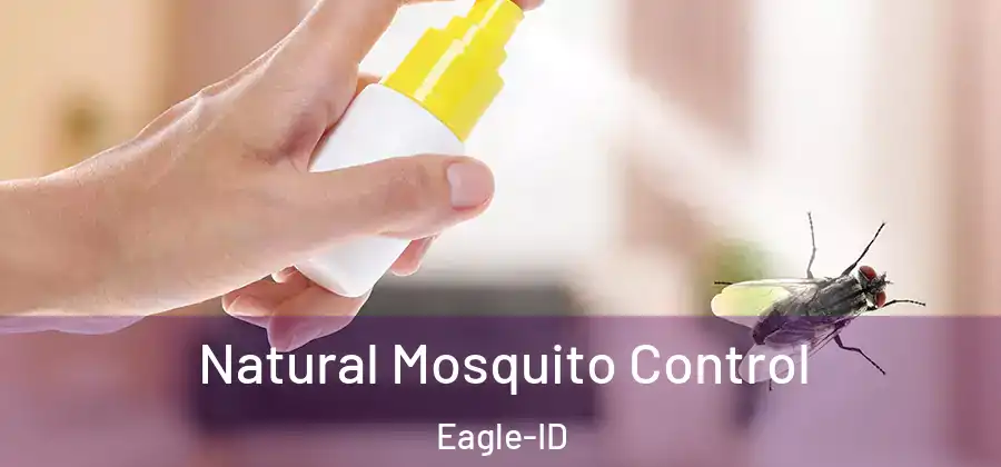 Natural Mosquito Control Eagle-ID