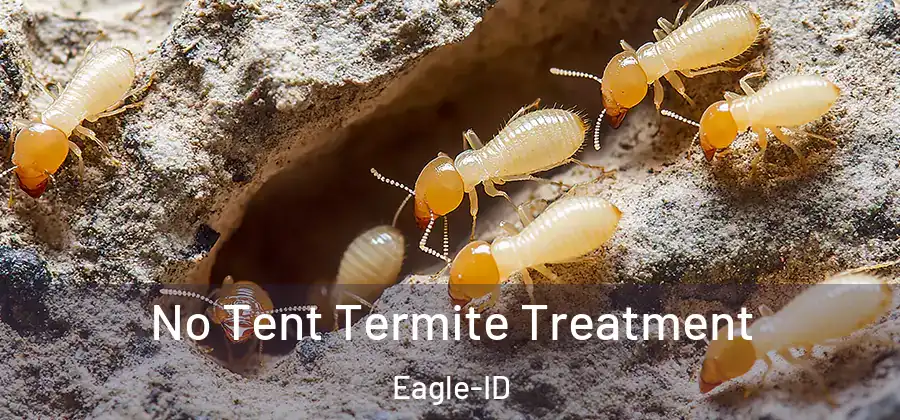 No Tent Termite Treatment Eagle-ID