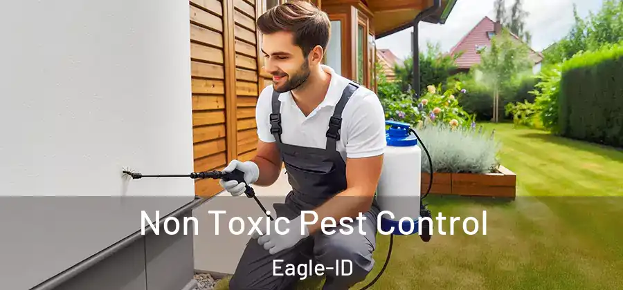 Non Toxic Pest Control Eagle-ID