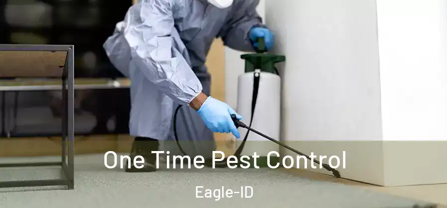  One Time Pest Control Eagle-ID
