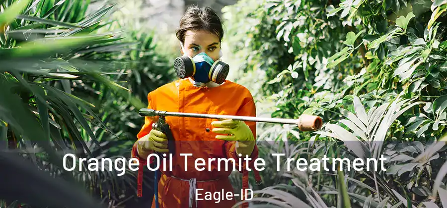  Orange Oil Termite Treatment Eagle-ID