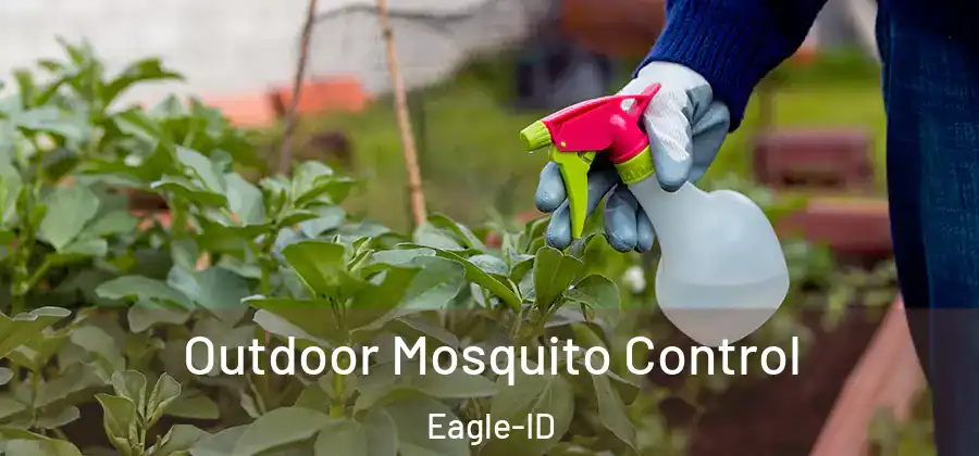 Outdoor Mosquito Control Eagle-ID