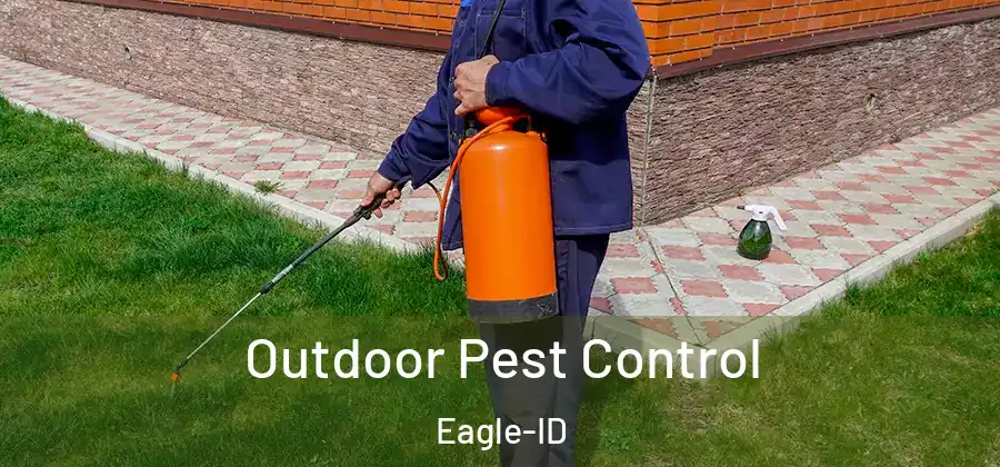 Outdoor Pest Control Eagle-ID