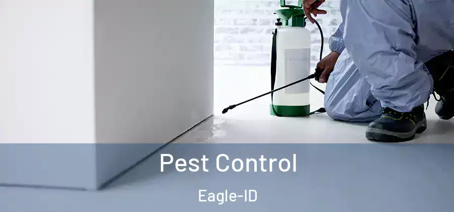  Pest Control Eagle-ID