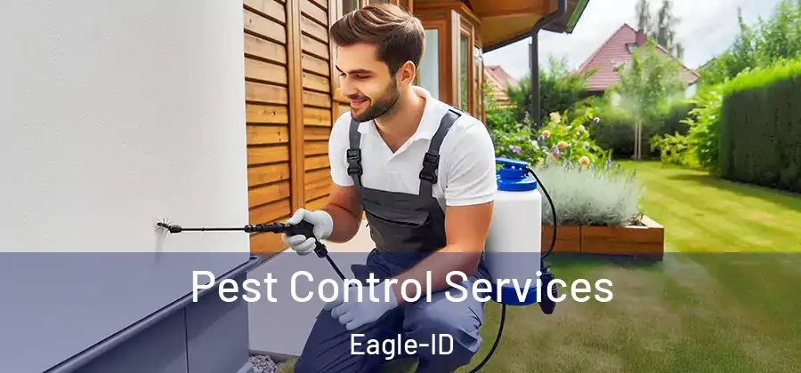 Pest Control Services Eagle-ID