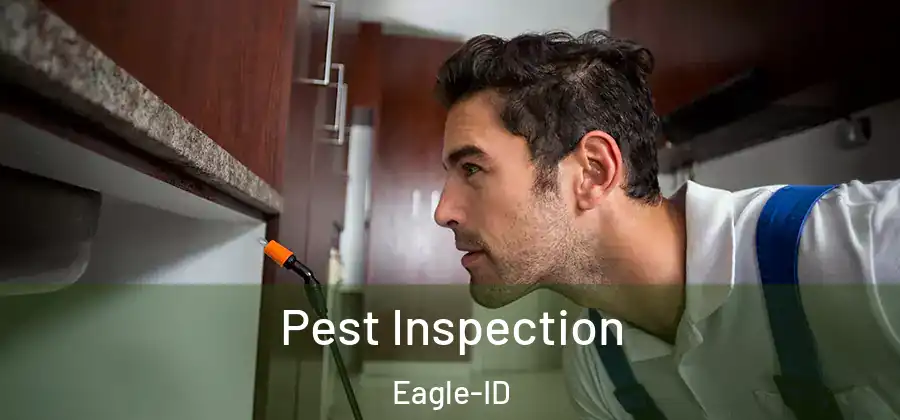 Pest Inspection Eagle-ID