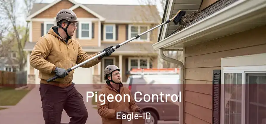 Pigeon Control Eagle-ID