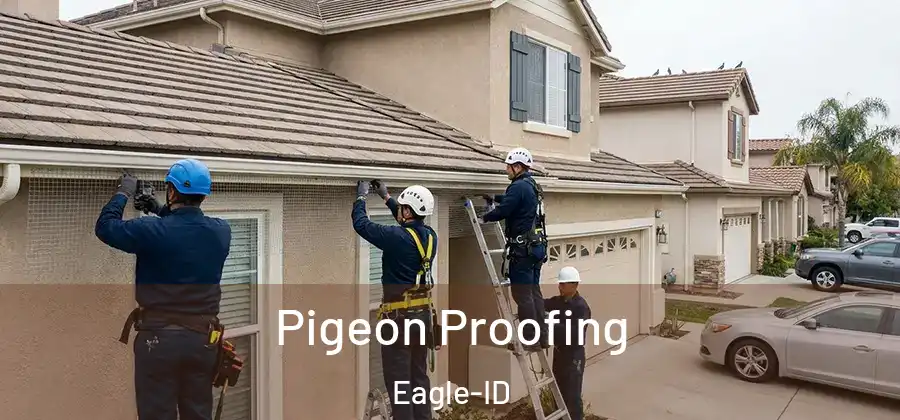  Pigeon Proofing Eagle-ID