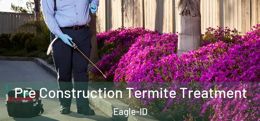 Pre Construction Termite Treatment Eagle-ID