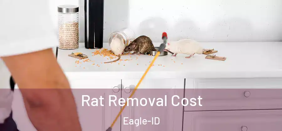 Rat Removal Cost Eagle-ID