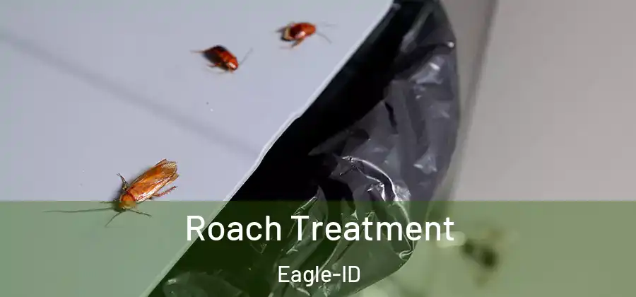 Roach Treatment Eagle-ID