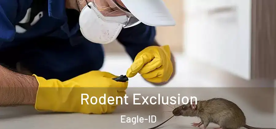  Rodent Exclusion Eagle-ID