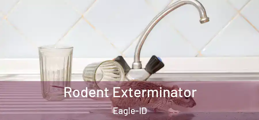 Rodent Exterminator Eagle-ID