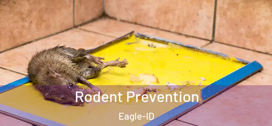 Rodent Prevention Eagle-ID