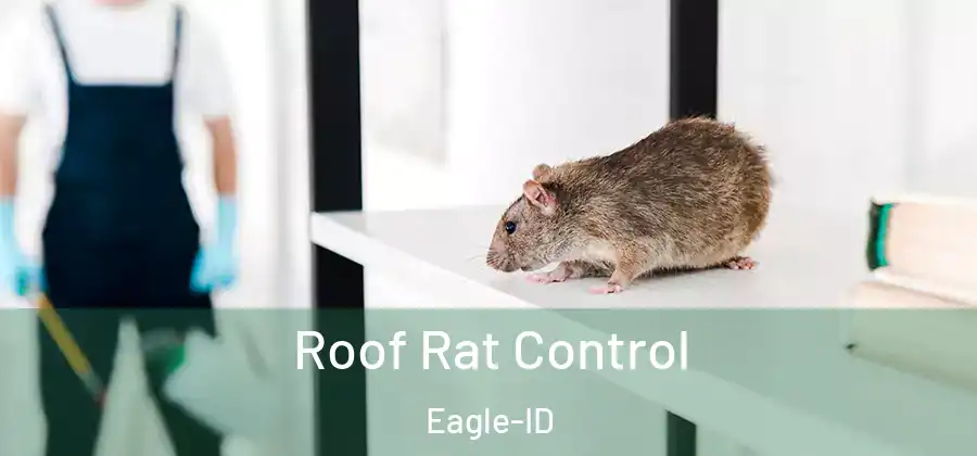 Roof Rat Control Eagle-ID