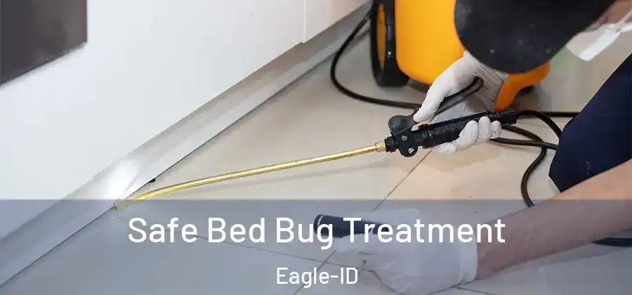  Safe Bed Bug Treatment Eagle-ID
