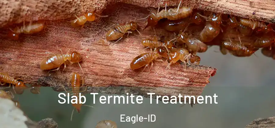 Slab Termite Treatment Eagle-ID