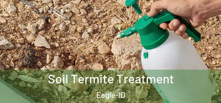 Soil Termite Treatment Eagle-ID