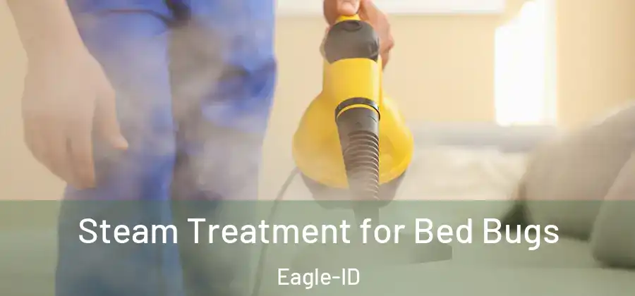 Steam Treatment for Bed Bugs Eagle-ID