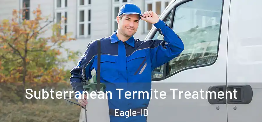 Subterranean Termite Treatment Eagle-ID
