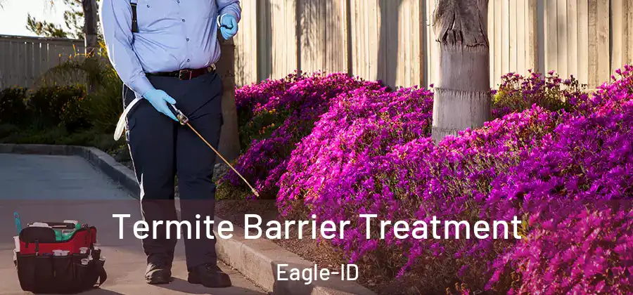 Termite Barrier Treatment Eagle-ID