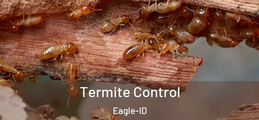 Termite Control Eagle-ID
