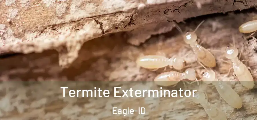 Termite Exterminator Eagle-ID