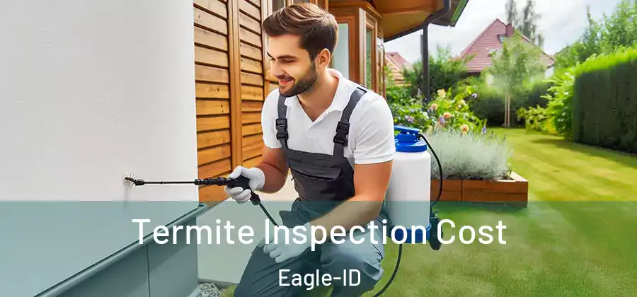 Termite Inspection Cost Eagle-ID