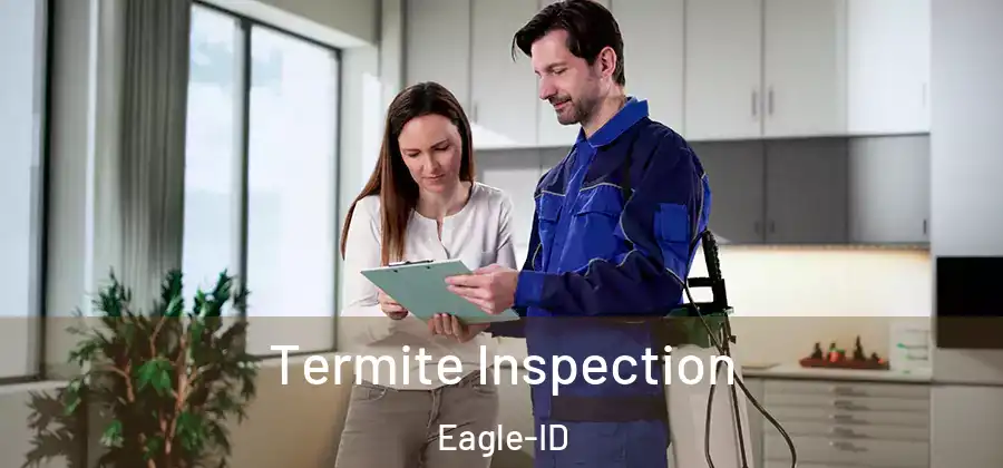  Termite Inspection Eagle-ID