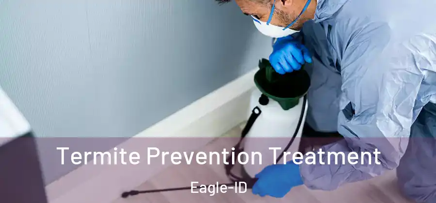 Termite Prevention Treatment Eagle-ID