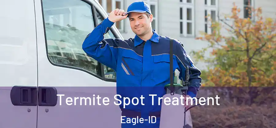 Termite Spot Treatment Eagle-ID